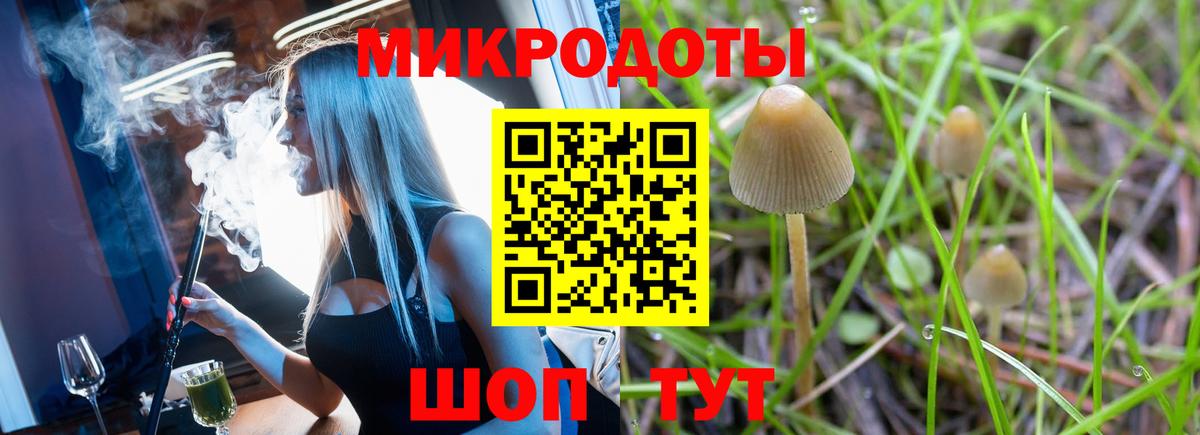 Галлюциногенные грибы Psilocybine cubensis  Вход с VPN  Псилоцибиновые грибы MAGIC MUSHROOMS  Усть-Джегута 