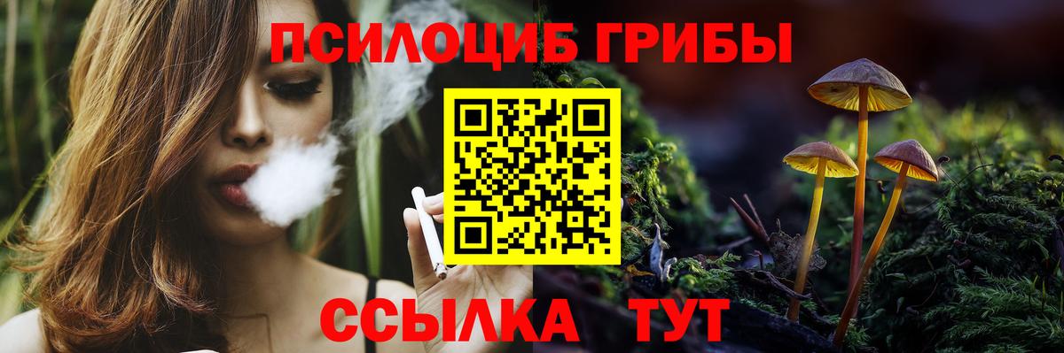 Псилоцибиновые грибы Cubensis Усть-Джегута